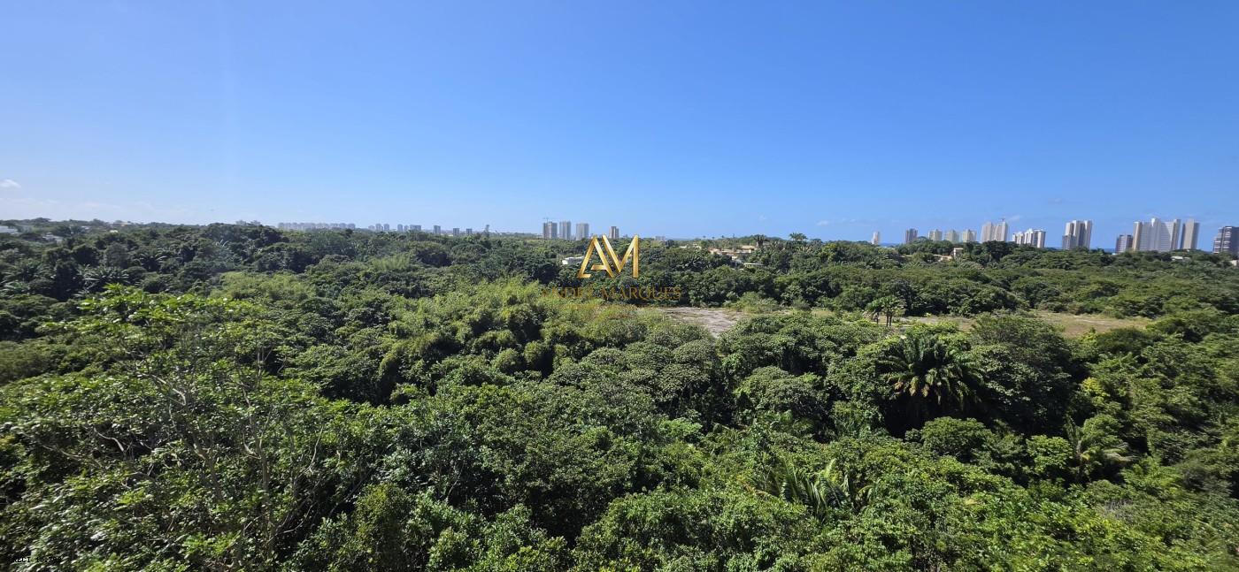 Apartamento, 4 quartos, 276 m² - Foto 3